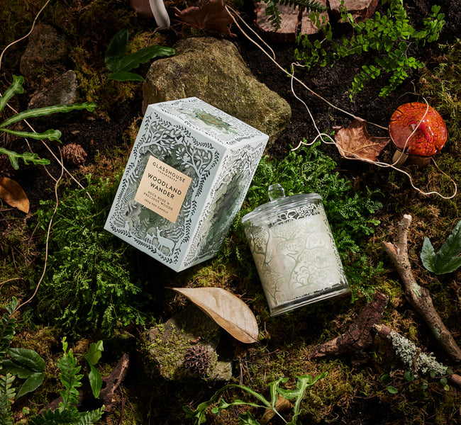 Get Lost in the Woods: Our Ultimate Forest Escape Guide