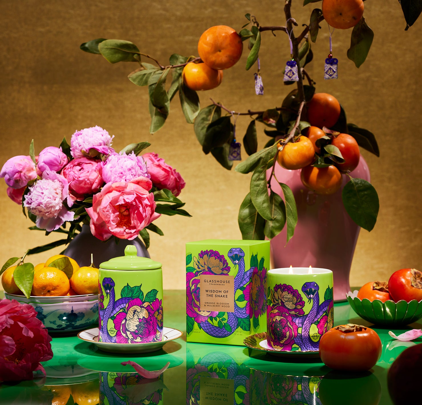 2025: The Year of Renewal and Abundance – Introducing The Wisdom