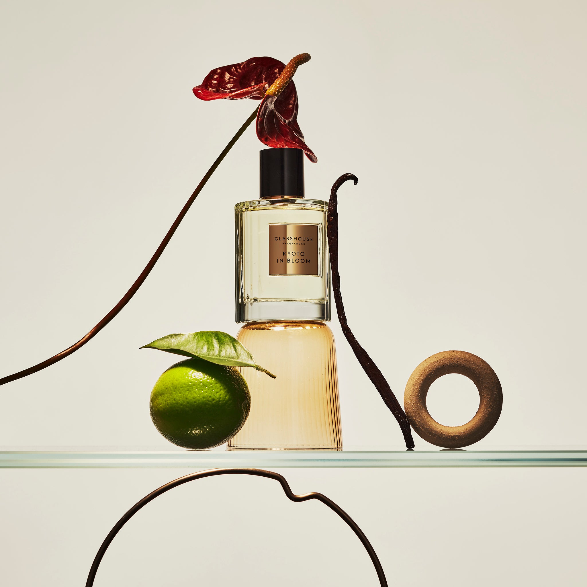 Amber for the Dreamer