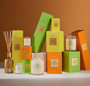 Discover New Fragrance Adventures