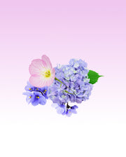 Image product fragrance