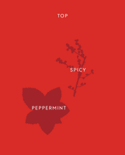 Image product fragrance