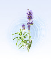 Image product fragrance