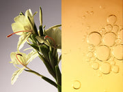 White Turmeric. Tamanu Oil.