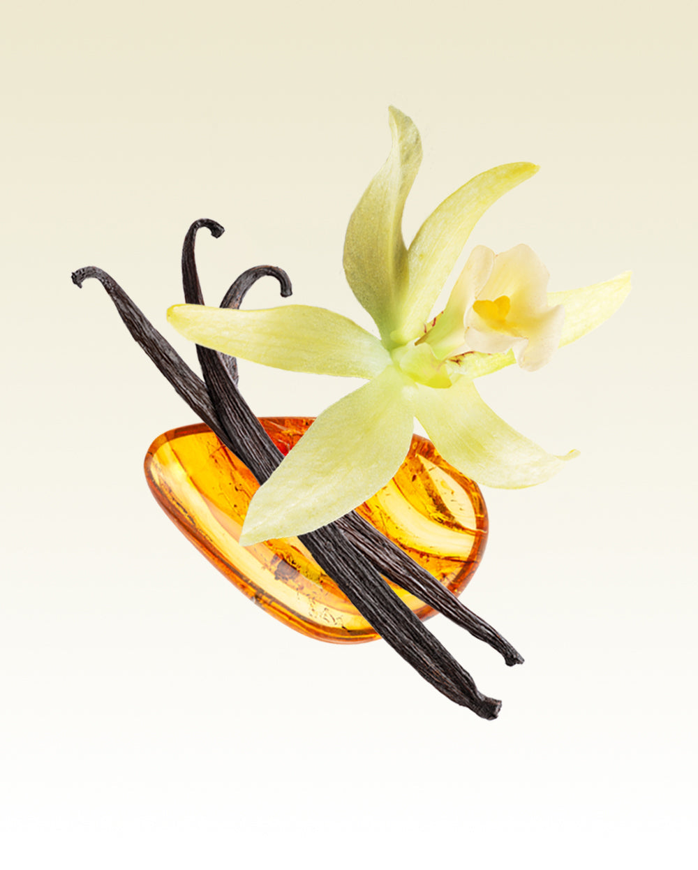 Kyoto in Bloom - 380g Soy Candle | Glasshouse Fragrances