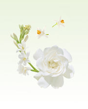 Image product fragrance