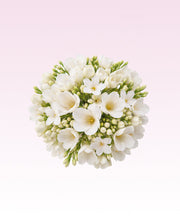 Image product fragrance