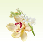 Image product fragrance