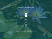 Strength